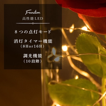 lufine014 ガラスドーム ローズ 大河商事
