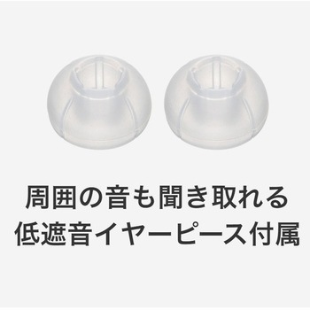 完全ワイヤレスイヤホン HA-EC25T Victor