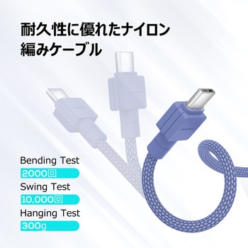 Type-A to C ケーブル デジフォース