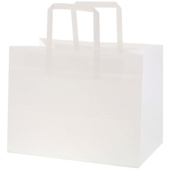 �����n ���� N�t���b�g�`���[���o�b�O SWAN ��280mm�}�`180mm����220mm 1�p�b�N(50��) 13491198