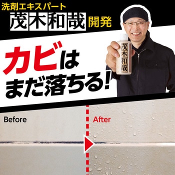 茂木和哉 カビとりジェル200g 茂木和哉