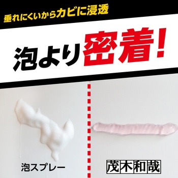 茂木和哉 カビとりジェル200g 茂木和哉