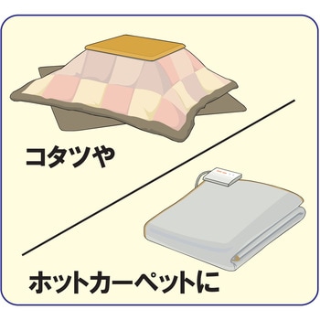 一回だけ「入切」タイマー リーベックス