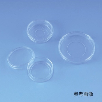 ガラスボトムディッシュ 1箱 松浪硝子