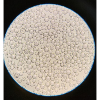 球体バイオキャリアー 25g入 アズワン