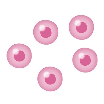 3D浮遊培養容器 CELL SPINPOD スターターキット Cell Spinpod