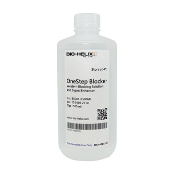 ウェスタンブロット検出試薬 BioHelix