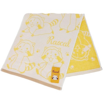 FO426500 tFCX^I ӂ薳QLN^[  13723581