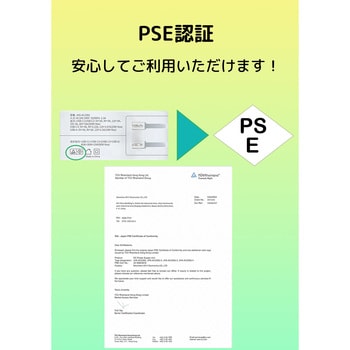 【ノートPC充電対応】USB急速充電器(PD100W GaN搭載)USB-C，USB-A bitstrong