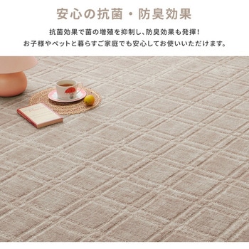 抗菌・防臭加工の敷き詰めカーペット シオン 萩原
