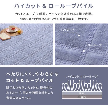 抗菌・防臭加工の敷き詰めカーペット シオン 萩原