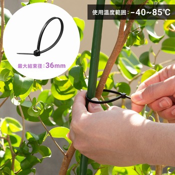 結束バンド_屋外用_耐候性 サンワサプライ