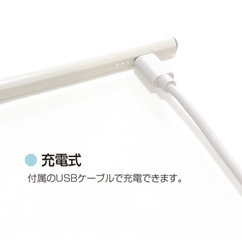 iPad専用充電式タッチペン ナカバヤシ