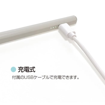 iPad専用充電式タッチペン ナカバヤシ