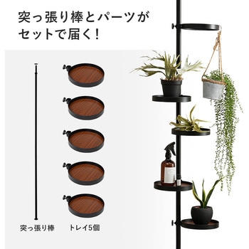 突っ張り ラック 丸型 トレイ 5個 ・ フック付き 天井突っ張り 壁面収納 スリム 木目調 萩原