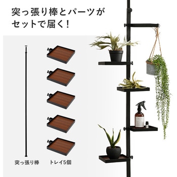 突っ張り ラック 角型 トレイ 5個 ・ フック付き 天井突っ張り 壁面収納 スリム 木目調 萩原