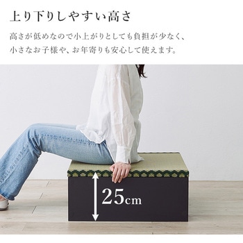4サイズから選べる 収納付き ユニット畳 小上がり 畳 萩原