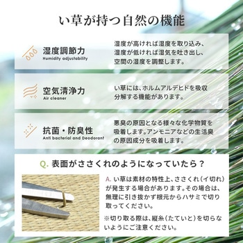 4サイズから選べる 収納付き ユニット畳 小上がり 畳 萩原
