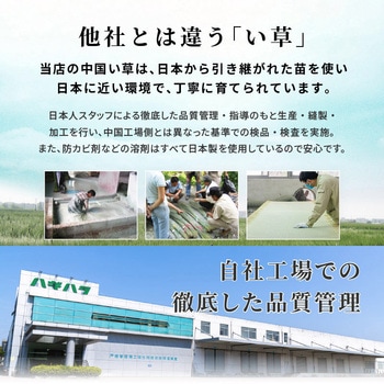 4サイズから選べる 収納付き ユニット畳 小上がり 畳 萩原
