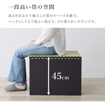 4サイズから選べる 収納付き ユニット畳 小上がり 畳 萩原