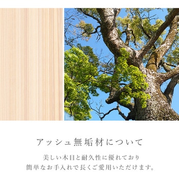 扉付き チェスト フラップ扉 収納 幅85 cm 単品 萩原