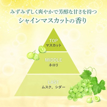 ディブ シャインマスカットの香りボディソープ - ディブ