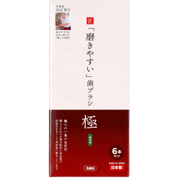 磨きやすい歯ブラシ極 ふつう ライフレンジ