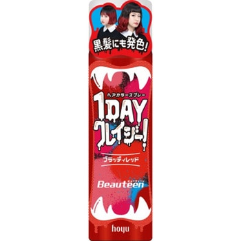 ビューティーン 1DAYクレイジー! ホーユー