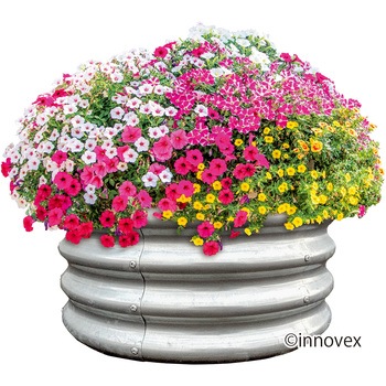 グロープランツベッド イノベックス(旧:ダイオ化成)