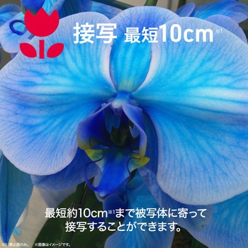 コンパクトデジタルカメラ aiwa cam DCB aiwa(アイワ)