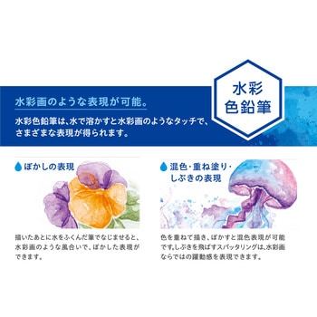 アートライン 水彩色鉛筆 シヤチハタ