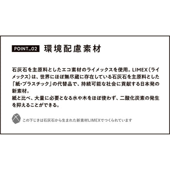 大人のザラザラ下敷き レイメイ藤井