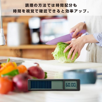 ビジュアルバータイマー キングジム