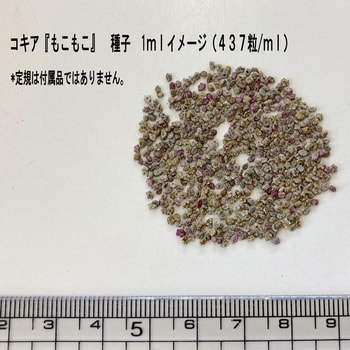 コキア・もこもこ 福花園