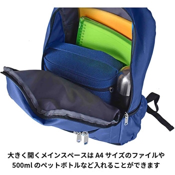 SIERRA FIELD AD ミニDリュック 2230 19L - SIERRA FIELD