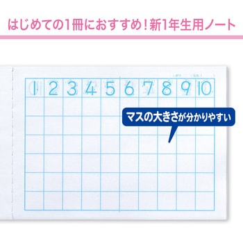 カレッジアニマル みんなの学習ノート セミB5 横開 さんすう 6マス - 日本ノート