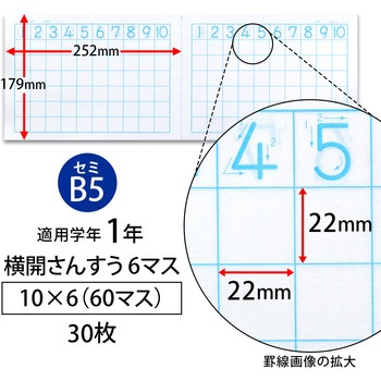 カレッジアニマル みんなの学習ノート セミB5 横開 さんすう 6マス - 日本ノート