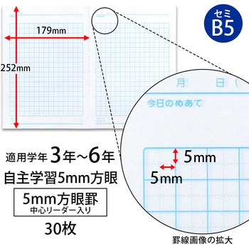 カレッジアニマル みんなの学習ノート セミB5 自主学習 5mm方眼 中心リーダー入 日本ノート