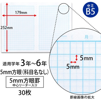 カレッジアニマル みんなの学習ノート セミB5 5mm方眼 中心リーダー入 日本ノート