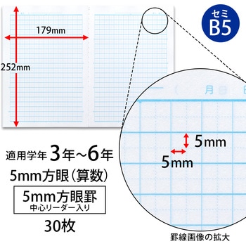 カレッジアニマル みんなの学習ノート セミB5 算数 5mm方眼 中心リーダー入 日本ノート