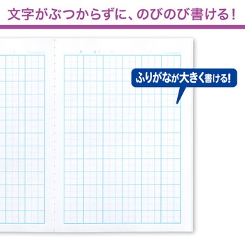 カレッジアニマル みんなの学習ノート セミB5 漢字 78字 中心リーダー入 - 日本ノート