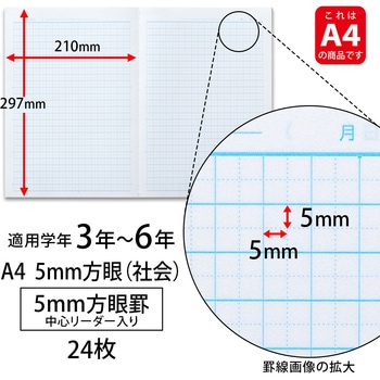 カレッジアニマル みんなの学習ノート A4 社会 5mm 中心リーダー入 日本ノート