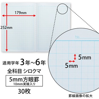 ノート 学習帳 スクールキッズ 5mm方眼 セミB5 日本ノート