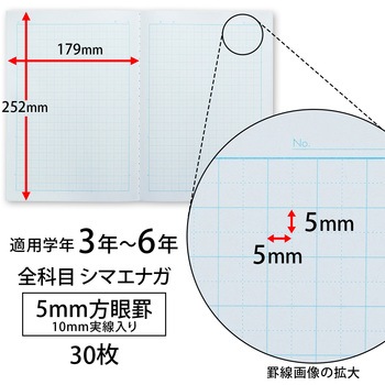 ノート 学習帳 スクールキッズ 5mm方眼 セミB5 日本ノート