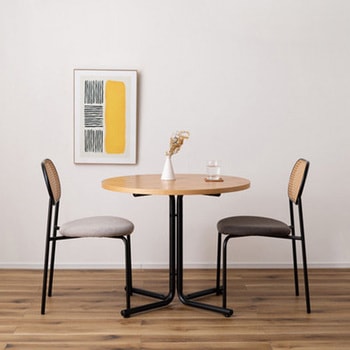 ラタン調 チェア スチール脚 ホームテイスト