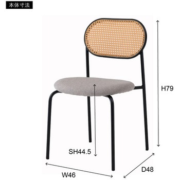 ラタン調 チェア スチール脚 ホームテイスト