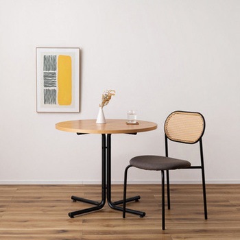 ラタン調 チェア スチール脚 ホームテイスト