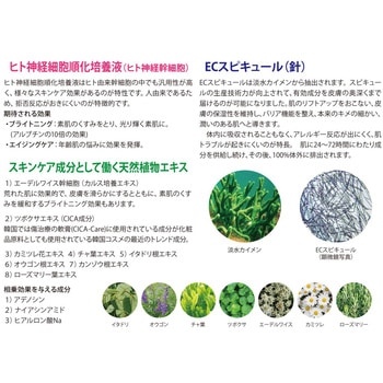 ハリファンデーション エステパートナー