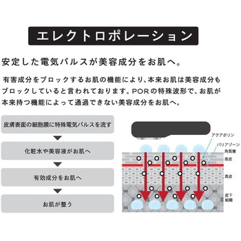 TILLET W-GEAR イオン導入器 電気バリブラシ - TILLET