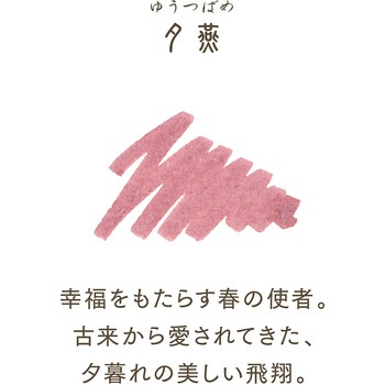 万年筆用 ボトルインク 四季織 セーラー万年筆